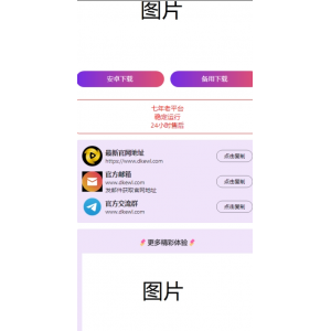 ‌2024首发！最火软件宣传单页源码，助力SEO优化