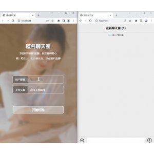 七分钟交友匿名聊天室源码，高效搭建社交新平台