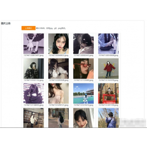 ‌PHP京东图床外链上传与瀑布流图片展示系统源码